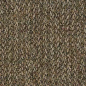 8821029 | Sherry Tweed