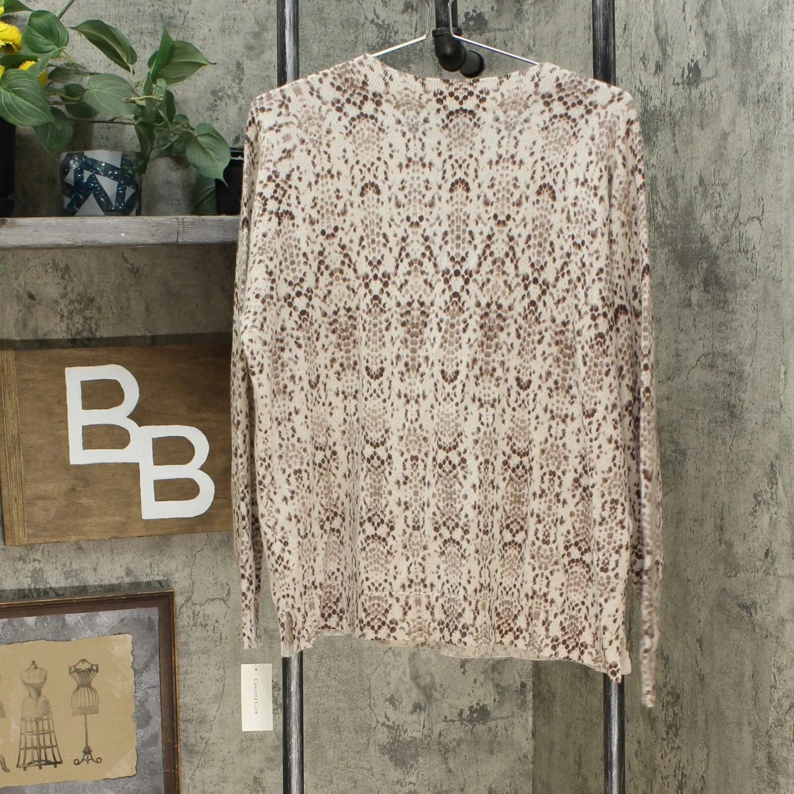 Charter Club Women's Snake Printed Cashmere Sweater