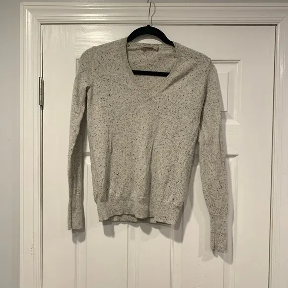 Everlane Cashmere V-neck Sweater