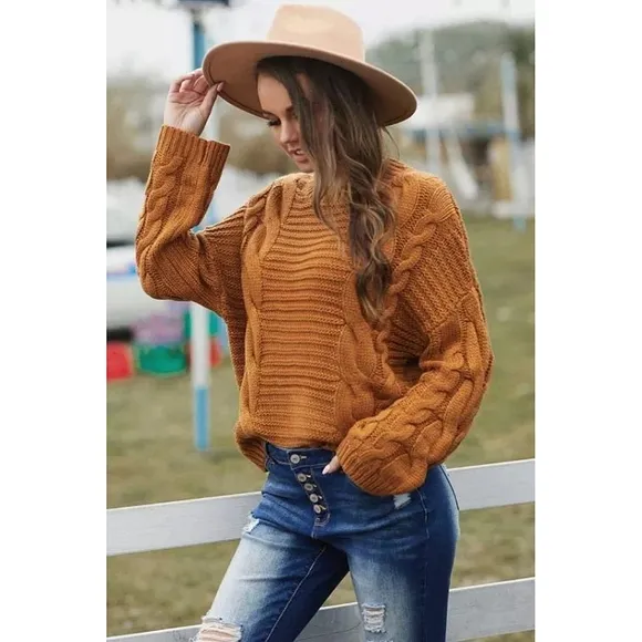 LAST ONE! Plus Size Soft Chic Brown Cable Knit Sweater With Batwing Sleeves