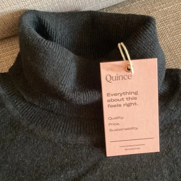 Quince Mongolian Cashmere Turtleneck Sweater