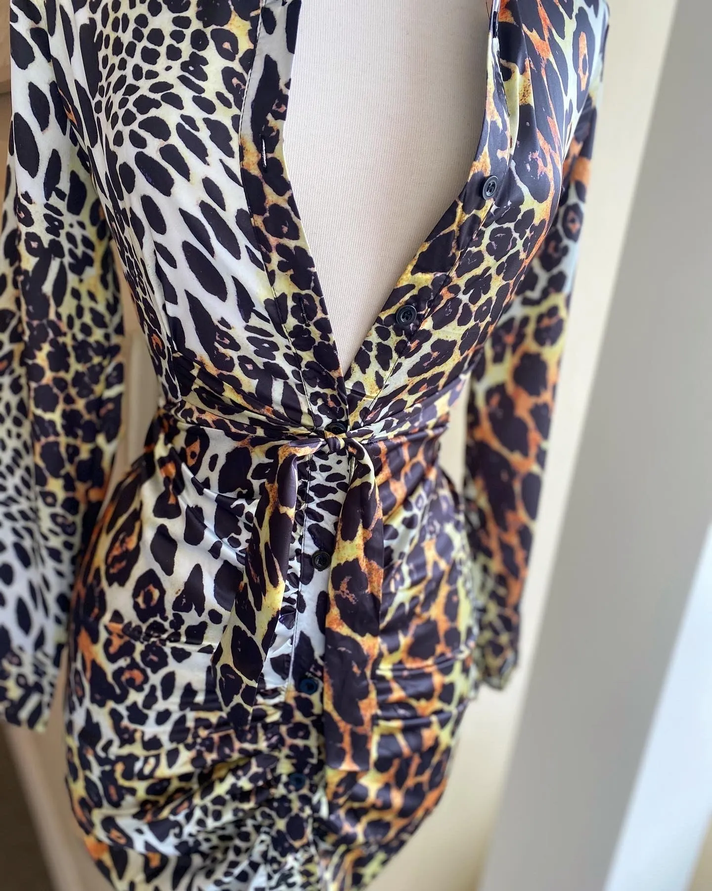Rouge Animal Print Shirt Dress