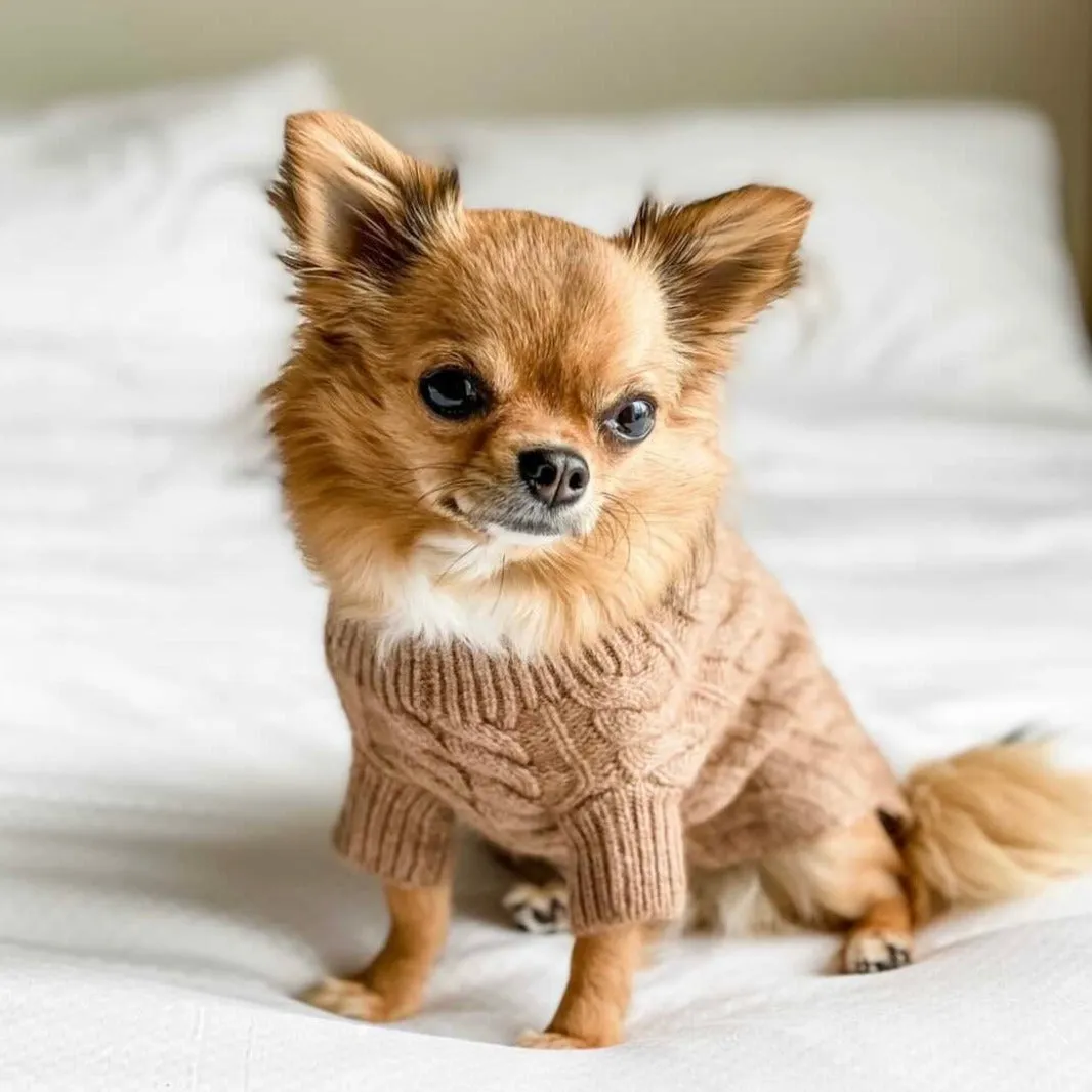 Rufus Cable Knit Sweater