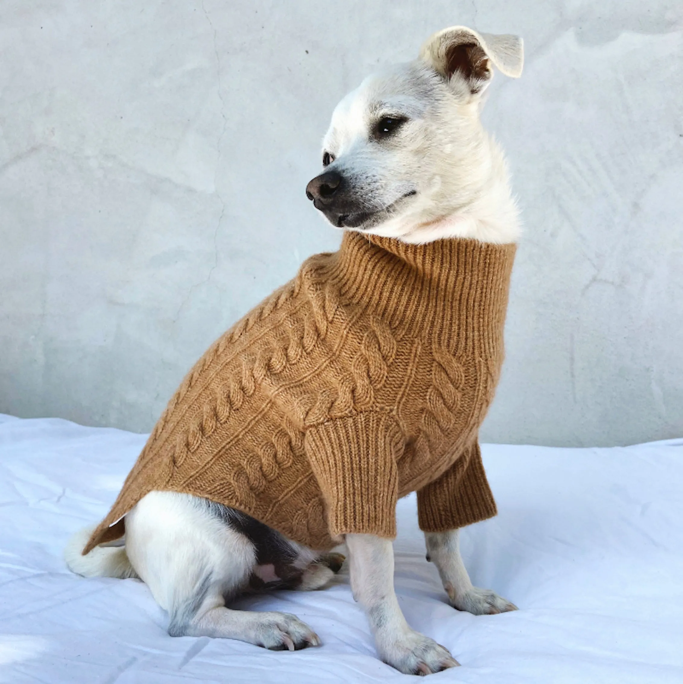 Rufus Cable Knit Sweater