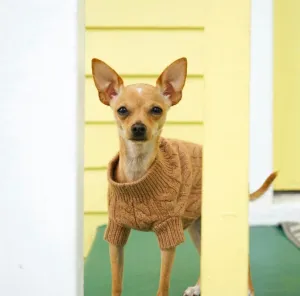 Rufus Cable Knit Sweater