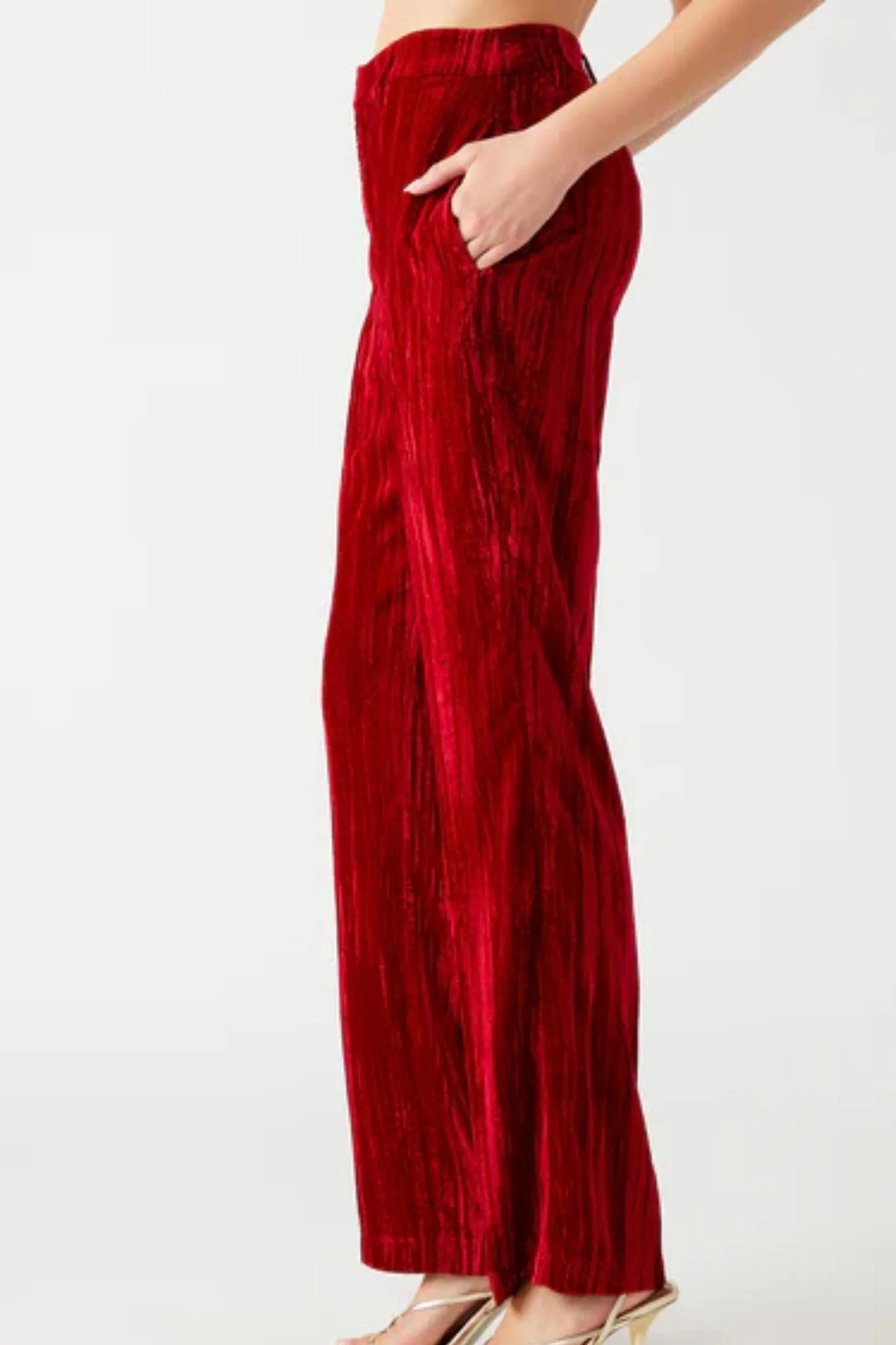 Steve Madden: Mercer Pant in Red Velvet
