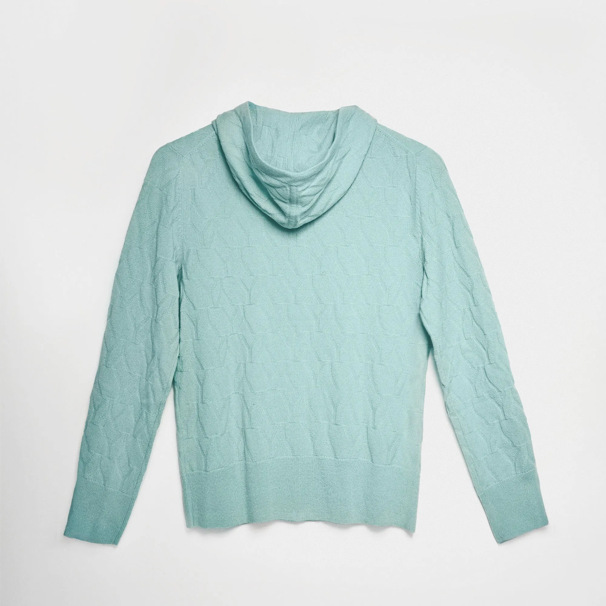 Zip Hoodie Aqua YY Logomania