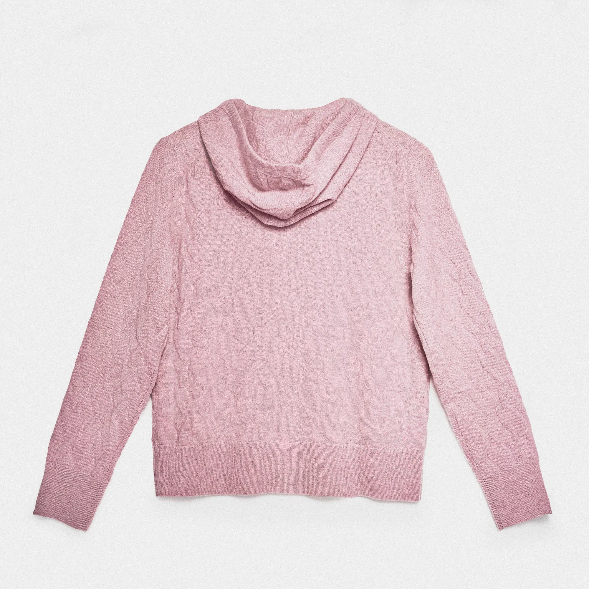 Zip Hoodie Pink YY Logomania